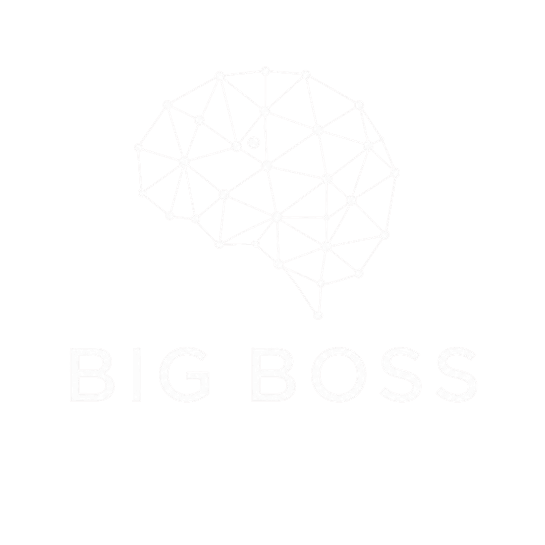 BIG BOSS